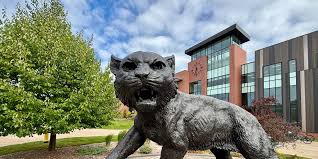NMU President: Who Will Lead Northern Michigan University? - Imagen principal del artículo