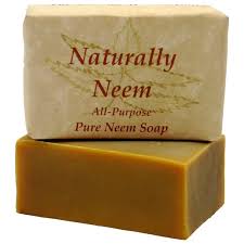Image result for neem soap