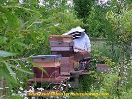 North Bedfordshire Honey