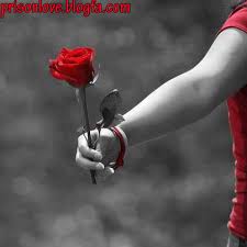 Image result for ‫عشق‬&lrm;