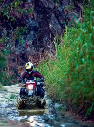 Image result for nagaland images