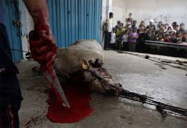 Image result for palestine children slaughter