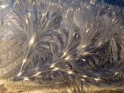 images?q=tbn:ANd9GcSuTYb1gGff9694IVExKlPlznDj_p6tvJUkWbUet518PtFZQHurHJ4K7Tml5A