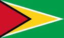 Resultado de imagem para bandeira bem pequena Guiana