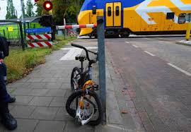 Brabants Dagblad - News update