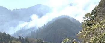 大槌町 山林火災