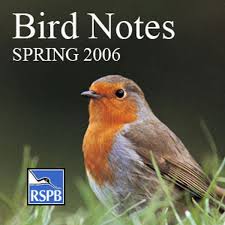 Google Podcasts - RSPB Bird Notes