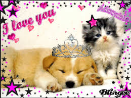 R&eacute;sultat de recherche d'images pour 