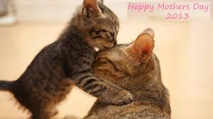 Image result for mother day