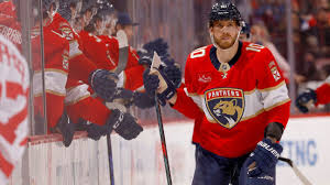 radko gudas Picture