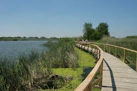 tisza-to