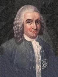 Image result for linnaeus