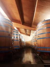 Image result for CHATEAU CANTINOT ORBITE