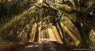 Image result for ‫ عکس های جالب از طبیعت‬‎