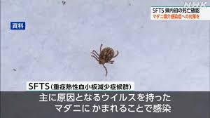 News source: NHK