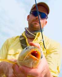 As much as I would love to guide for carp and bass every day on the Ray Roberts flats, there are so many factors that ... - keatingcarp1