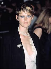 Résultat de recherche d'images pour "stella tennant"