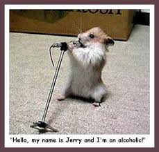 Image result for funny pics of animals