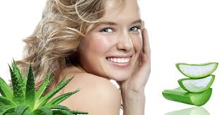 aloe vera özlü şampuan ile ilgili görsel sonucu