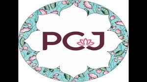 Pc Jeweller Stock News latest news photo (ET Retail)