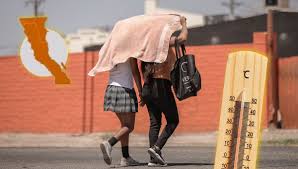 ALERTAN por temperaturas extremas de hasta 48 grados en Mexicali; Protección Civil reporta alto índice de humedad