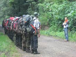 Hasil gambar untuk pecinta alam indonesia