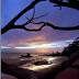 Report ranks Jacksonville's parks 90th in nation out of 100 biggest ...