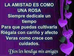 Resultado de imagen para frases de amistad