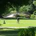Nonprofit takes charge of Bobby Jones Golf Course
