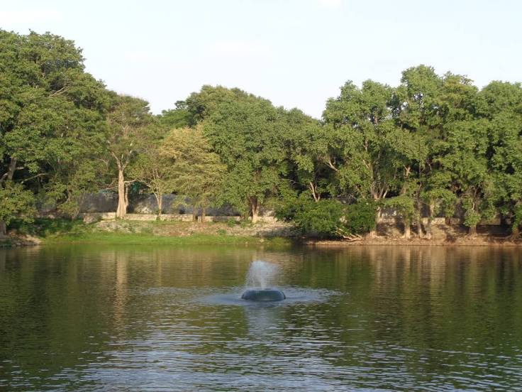  Bannerghatta National Park and Zoo