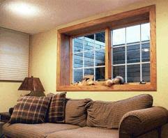 insulating a basement