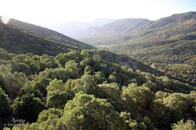 عکس از" زیبایی های "شهر یا محله ی "خودتان " 