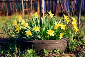Image result for flowers on tires