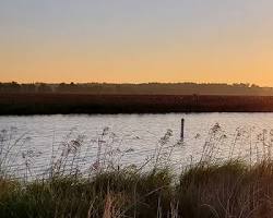 Image of Goose Pond Fish & Wildlife Area