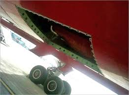 Image result for Air India 787 missing panel