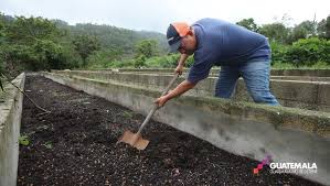 Productores buscan alternativas para reducir la dependencia de fertilizantes importados