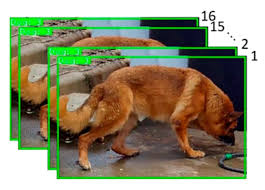 Image result for 404 error dog/url?q=https://www.mdpi.com/2076-3417/13/7/4596