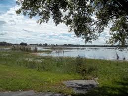 Picture of Lake Damon