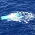 3 missing after overturned boat spotted 25 miles off Haleiwa