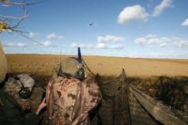Image result for pigeon shooting hide in use