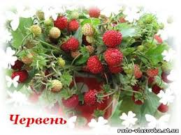 Результат пошуку зображень за запитом "народний календар червень"