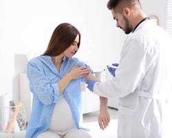 Hình ảnh về Lựu cho bà bầu