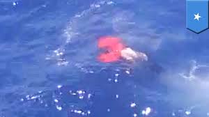 Image result for ISIS Somali Pirates