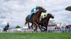 Racing Post - News update