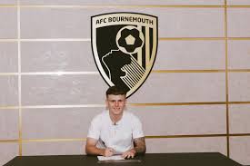 Bournemouth Echo - News update