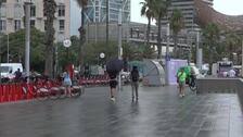 ABC - News update