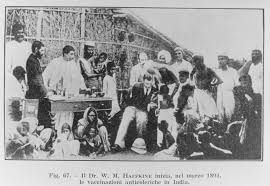 Image result for BOMBAY PLAGUE PHOTOS