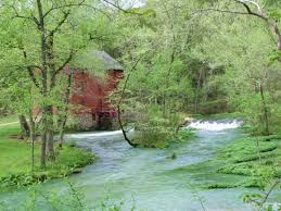 Image result for "Alley Spring"