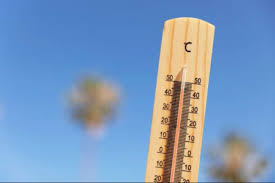 Brasília registra dia mais quente do ano com 31,3° no último sábado (8)