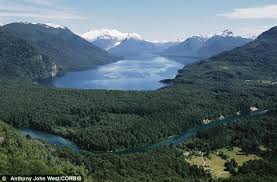 Image result for Hitler In Argentina  pdf